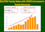 boost your amazon ppc sales, profit with expert amazon ads campaign management